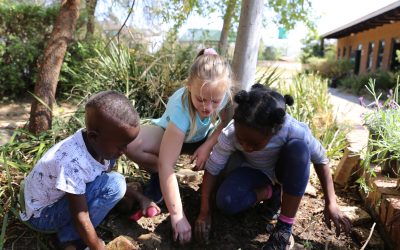 Growing Resilience: A Waldorf Education Perspective from Kindergarten through Primary School