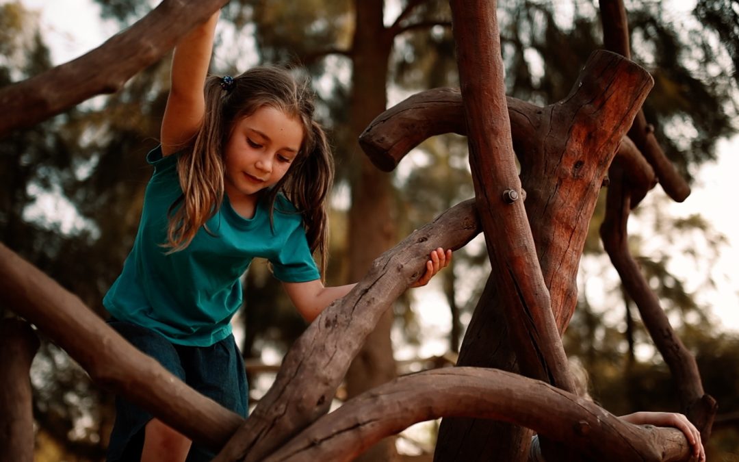 Why We Don’t Grade Children or Give Exams in Primary School