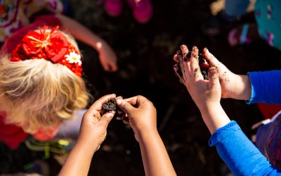 Reconnecting Children with Nature: The Importance of Outdoor Learning