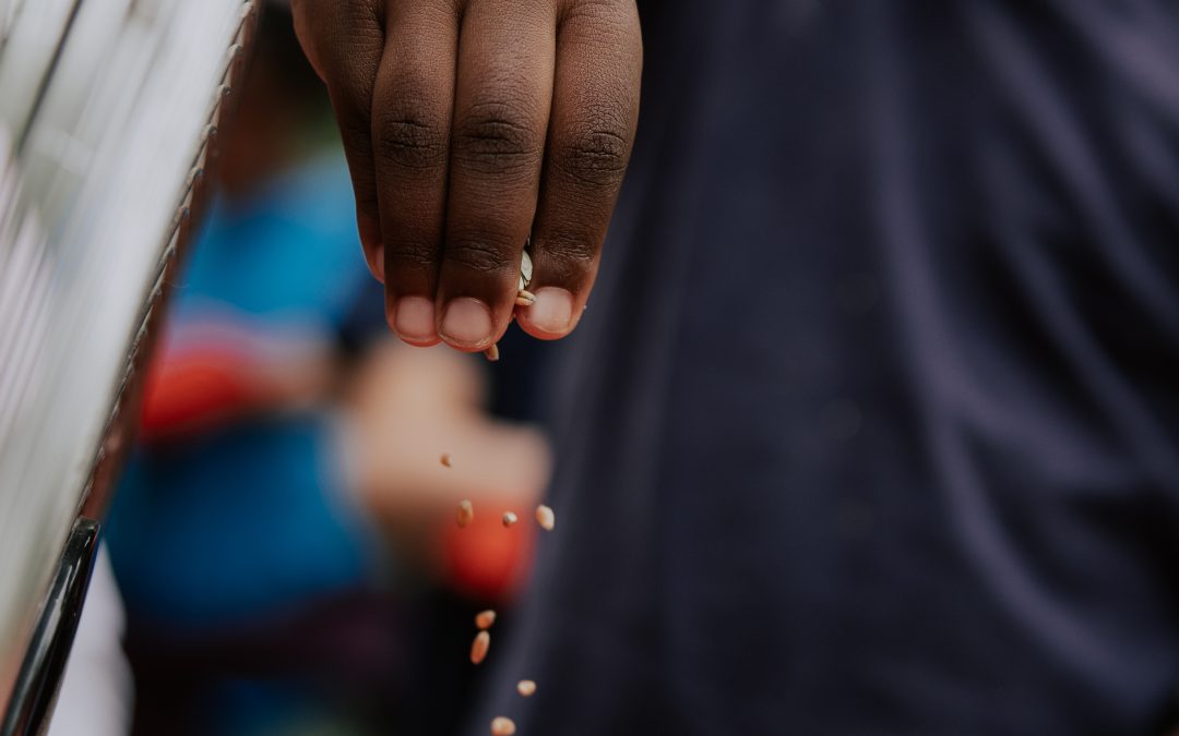 Experiential Learning